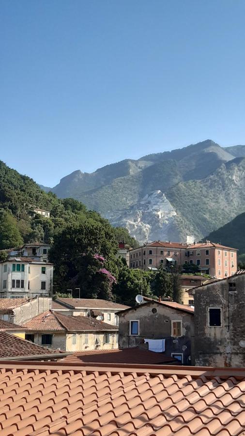 Il Nido Dell'Arancio Daire Carrara Dış mekan fotoğraf